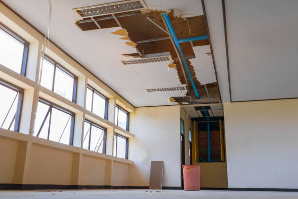 Best Water damage restoration insurance claims  in Pleasanton, KS