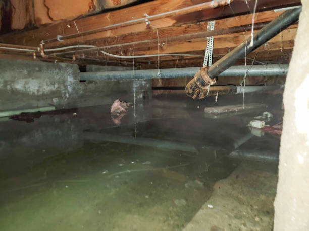 Best Emergency water damage restoration  in Pleasanton, KS