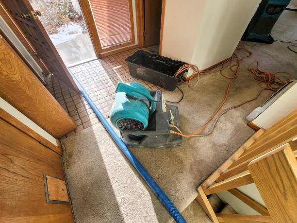 Best Basement water damage restoration  in Pleasanton, KS