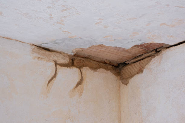  Pleasanton, KS Water damage restoration Pros