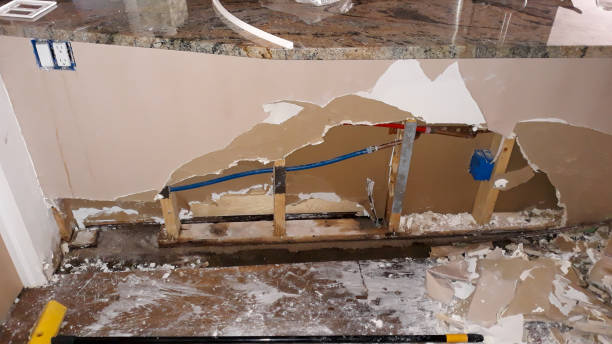 Best Water damage contractors near me  in Pleasanton, KS