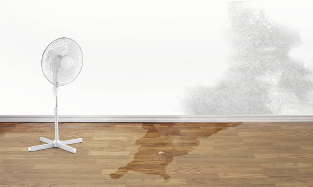 Carpet water damage restoration in KS