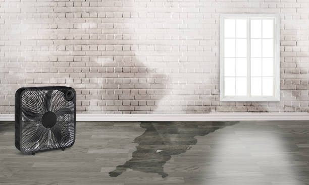 Best Sewage cleanup and water damage restoration  in Pleasanton, KS