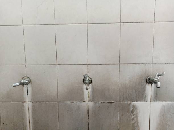 Best Carpet water damage restoration  in Pleasanton, KS