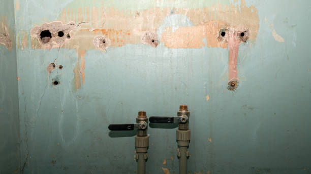 Best Flooded house restoration  in Pleasanton, KS