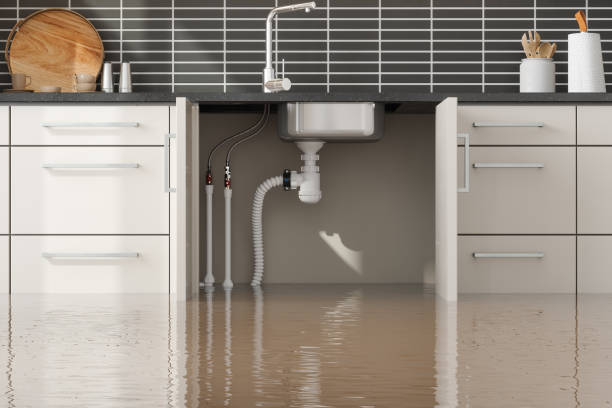 Best Emergency water damage restoration  in Pleasanton, KS