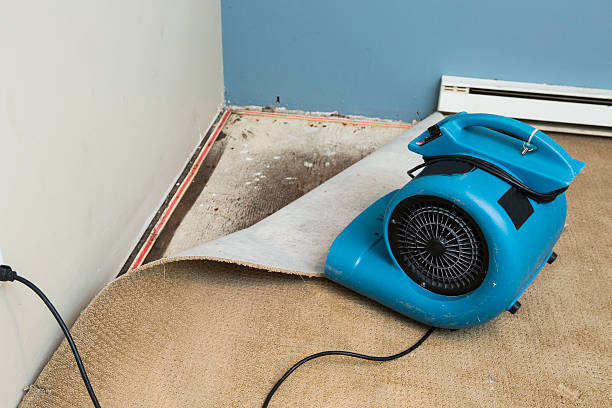 Best Flood restoration services  in Pleasanton, KS
